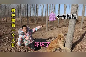金毛在恐怖的树林里发现挂着个布娃娃，小伙一看吓坏了，啥寓意？