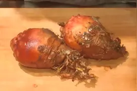 日本人处理海菠萝，切开里面的肉太鲜嫩，吃一口味道不错