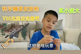 小学生网购和平精英皮肤枪，买小玩具枪还送VSS大玩具枪，真值视频封面