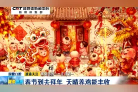 年俗日历——正月初一：春节到去拜年 天晴养鸡能丰收视频封面