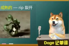 【Doge每日一词】rip 四六级考研英语单词视频封面