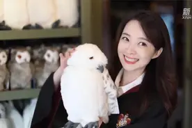 张扬Vlog｜探访北京环球影城视频封面