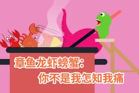 章鱼龙虾螃蟹：你不是我怎知我痛视频封面