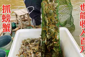 微山湖万亩大闸蟹基地，小伙承包百亩池塘每天抓500斤年收入百万