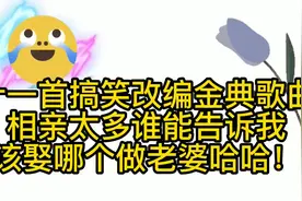 十一首搞笑改编吹牛歌曲汇总 改编的高手太有才 太好笑了哈哈！视频封面