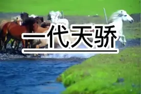 历史典故 一代天骄视频封面