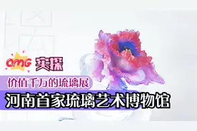 实探河南首家琉璃艺术博物馆，一件琉璃价值50万元！视频封面