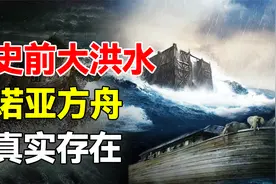 珠峰上发现的小小贝壳，竟可证明神的存在，科学家也无法反驳视频封面