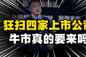 11月买进4家上市新公司，林园公开表态“牛市初期到了”视频封面
