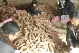 陕西省政府今日宣布延安市贫困县全部脱贫 226万老区人民奔小康视频封面