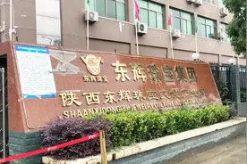 被百万悬赏珠宝商：曾在当地投5亿 政府换领导就把公司封了视频封面