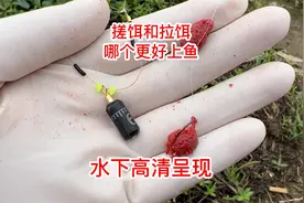 搓饵和拉饵哪个更好上鱼视频封面
