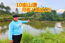 大叔花2万元包塘养鱼，利用“独到”的养殖技术，月入高达2万元视频封面