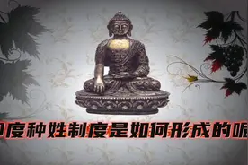 奇葩的印度，奇葩的印度种姓制度，种姓制度的形成和发展视频封面