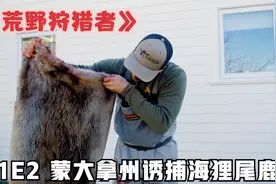 荒野狩猎者S1E2，蒙大拿州诱捕海狸，两天收获一大一小光皮卖5千视频封面