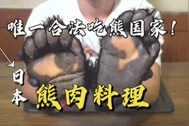 日本吃熊肉不犯法？每年捕熊千头上餐桌，看日本人如何吃熊！视频封面