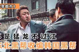 “东北第一杀手”收编韩国黑帮，最大的失误，大概就是没穿貂视频封面