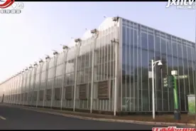 【向往的海口】桂林洋国家热带农业公园：田园风光迎客来视频封面