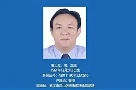 涉黑恶违法犯罪的黄大发等落网！湖北警方公开征集犯罪线索视频封面