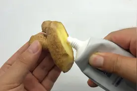 牙膏挤在生姜上，用途太棒了，解决了不少人的困扰，真是涨知识了视频封面