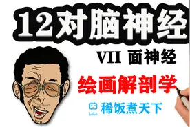 【绘画解剖学 神经】12对脑神经（中）黄猿教你学面瘫视频封面