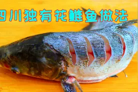 比海鲜还要好吃的花鲢鱼做法，细嫩鲜美入味，不得不佩服太厉害了视频封面