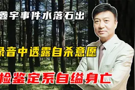 胡鑫宇事件调查结果出炉，系自缢身亡，录音中透露自杀意愿视频封面