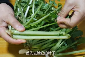 把别人丢弃不要的萝卜缨子捡回家，来做一道下饭菜，绝对好吃