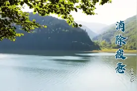 放松大脑神经音乐，30分钟每天必听，静心静脑，缓解不愉快视频封面