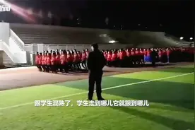 流浪狗狗带学生们跑操，老师说它以校为家了视频封面