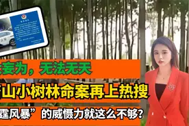 唐山小树林命案再上热搜，歹徒胆大妄为！雷霆风暴震慑到了什么？视频封面