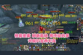 WLK怪最密集刷新最快之地 升级和打金都是圣地视频封面