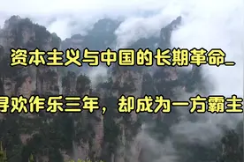 资本主义与中国的长期革命_寻欢作乐三年，却成为一方霸主_视频封面