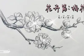 零基础速写手绘100课——梅花视频封面
