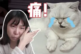 猫打针之后腿瘸了，铲屎官以为要截肢，直接吓哭了视频封面