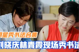明星秀书法合集：刘晓庆林青霞现场秀书法，一个大气一个清秀视频封面