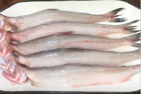 海边人教你龙头鱼最好吃的做法，简单美味，入口即化，下酒下饭视频封面