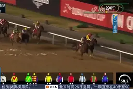 迪拜赛马世界杯在迈丹马场举行，世界各地的赛马和骑师齐聚一堂视频封面