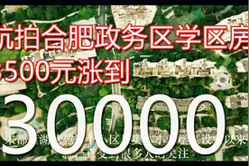 航拍穿云刷爆合肥政务学区房，宋都西湖花苑 4K视频封面