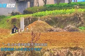 网友分享触动灵魂瞬间：人间春景美如画卷，老人安静的坐在坟墓前视频封面