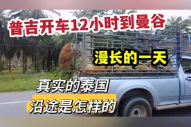 普吉岛开车12小时到曼谷，漫长的一天，真实的泰国沿途是怎样的视频封面