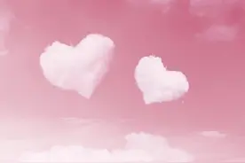 张涛王宁结婚留影