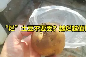 “烂”土豆不要丢？越烂越值钱视频封面