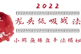 读懂小鳄鱼操盘手法，精准把握买点提升悟道格局！视频封面