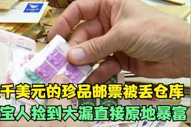 开盲盒竟然能开出殿堂级别的珍品邮票，寻宝人这波直接原地暴富视频封面