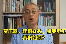 变压器、硅料龙头，特变电工未来如何？视频封面