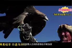 驯鹰  青格里猎鹰文化之乡（非物质文化遗产）@通天之地秘域青河视频封面