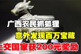广西农民去抓狐狸，意外找到价值200万宝藏，上交国家得200元奖励视频封面