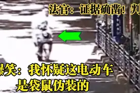 爆笑：我怀疑这电动车是袋鼠伪装的，法官：证据确凿！判了视频封面