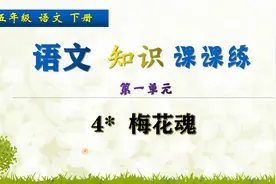 五年级下册语文《4.梅花魂》，练习语文题目，提高理解能力视频封面
